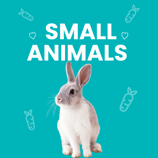 SMALL ANIMALS